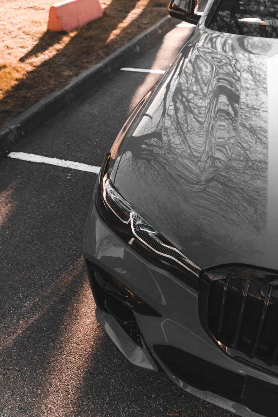 BMW X7 — цветной полиуретан: изображение проекта 2 из 12